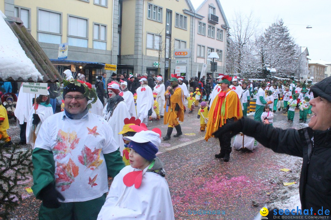 Faschingsumzug mit Motto: Weisch no - Gossau SG, Schweiz, 25.01.2015