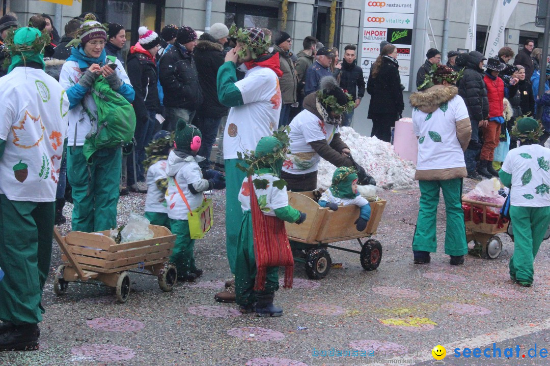 Faschingsumzug mit Motto: Weisch no - Gossau SG, Schweiz, 25.01.2015