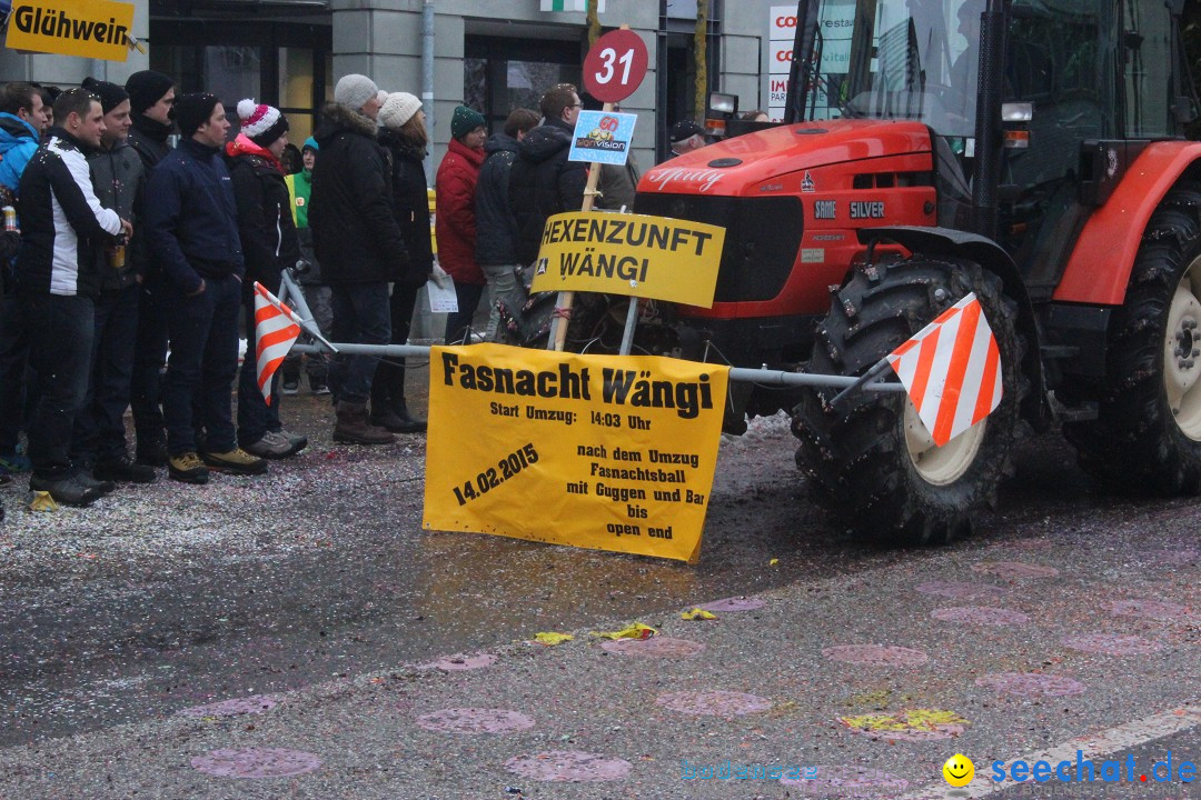 Faschingsumzug mit Motto: Weisch no - Gossau SG, Schweiz, 25.01.2015