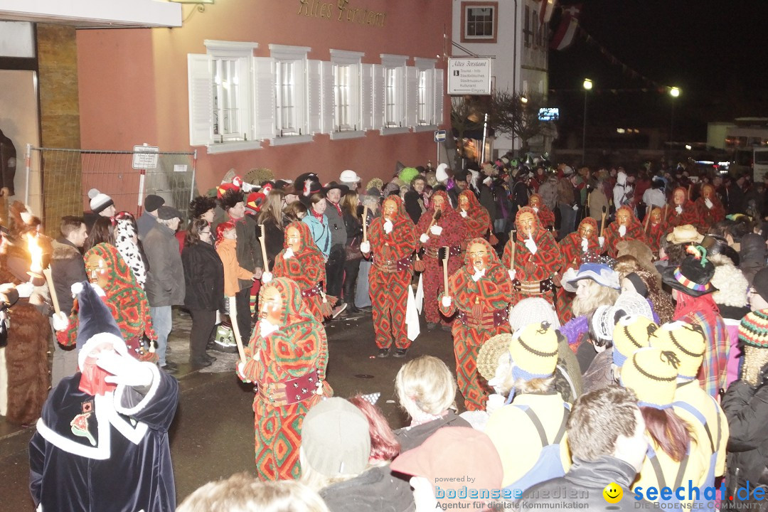 Nachtumzug - 700 JAHRE MORGARTEN: Stockach am Bodensee, 31.01.2015