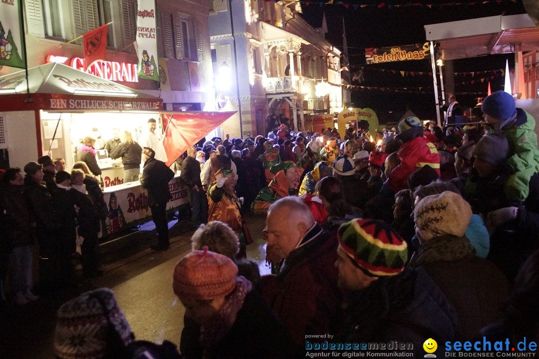 Nachtumzug - 700 JAHRE MORGARTEN: Stockach am Bodensee, 31.01.2015