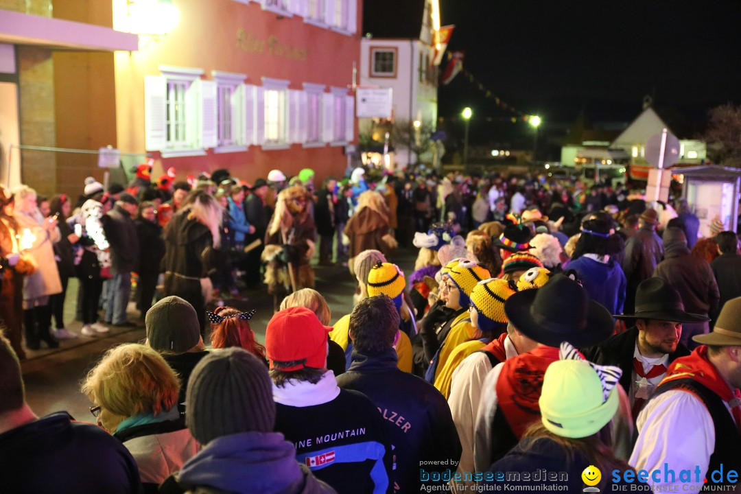 Nachtumzug - 700 JAHRE MORGARTEN: Stockach am Bodensee, 31.01.2015