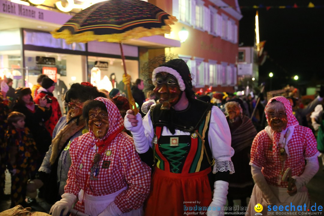 Nachtumzug - 700 JAHRE MORGARTEN: Stockach am Bodensee, 31.01.2015