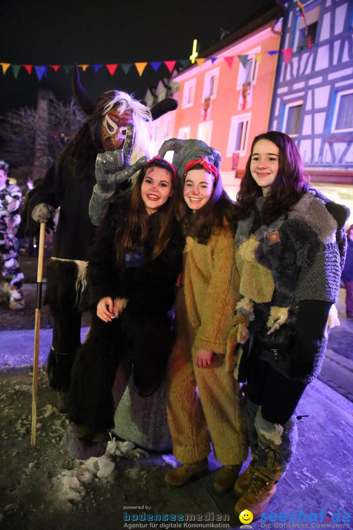 Nachtumzug - 700 JAHRE MORGARTEN: Stockach am Bodensee, 31.01.2015
