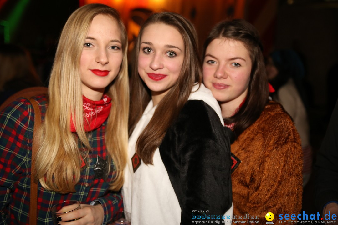 Narrentreffen und Narrenparty: Stockach am Bodensee, 31.01.2015
