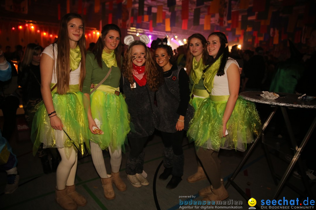 Narrentreffen und Narrenparty: Stockach am Bodensee, 31.01.2015