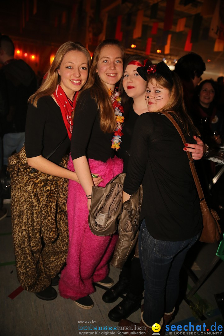 Narrentreffen und Narrenparty: Stockach am Bodensee, 31.01.2015