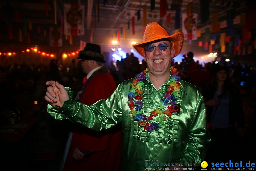 Narrentreffen und Narrenparty: Stockach am Bodensee, 31.01.2015