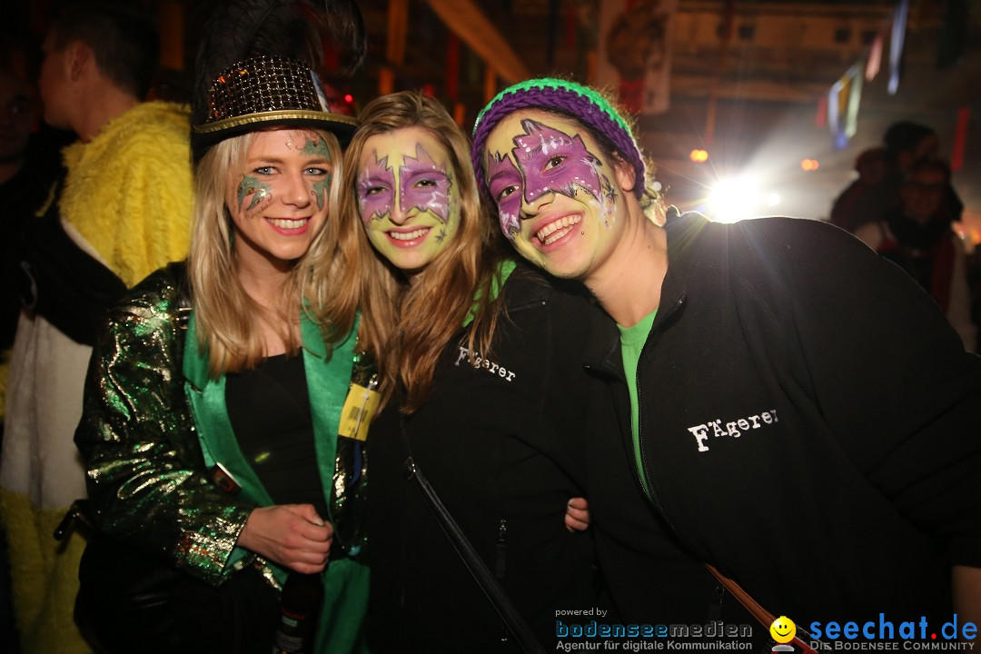 Narrentreffen und Narrenparty: Stockach am Bodensee, 31.01.2015