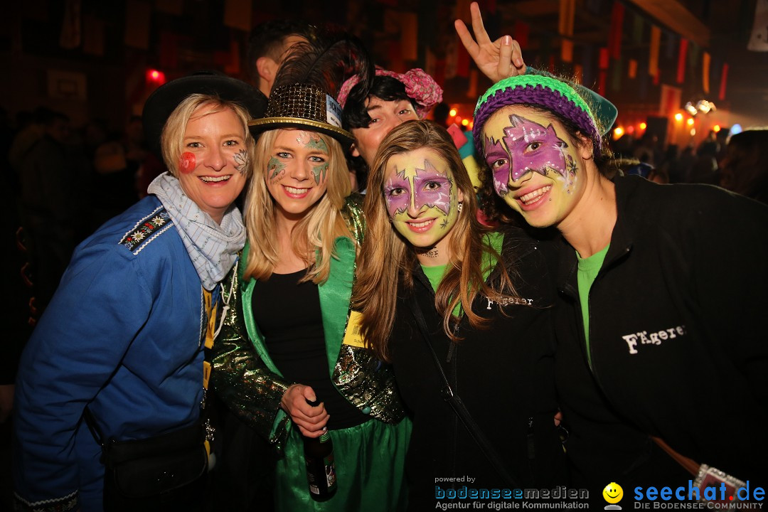 Narrentreffen und Narrenparty: Stockach am Bodensee, 31.01.2015