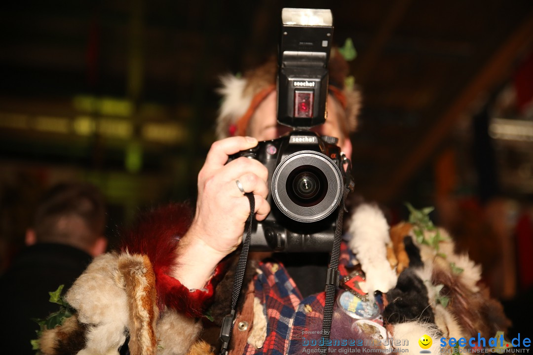 Narrentreffen und Narrenparty: Stockach am Bodensee, 31.01.2015