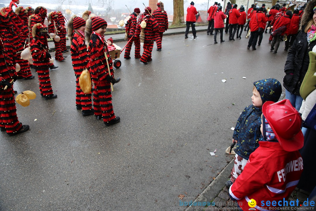 Fasnet Festumzug mit Motivwagen : Stockach am Bodensee, 01.02.2015