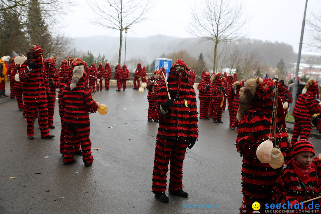Fasnet Festumzug mit Motivwagen : Stockach am Bodensee, 01.02.2015
