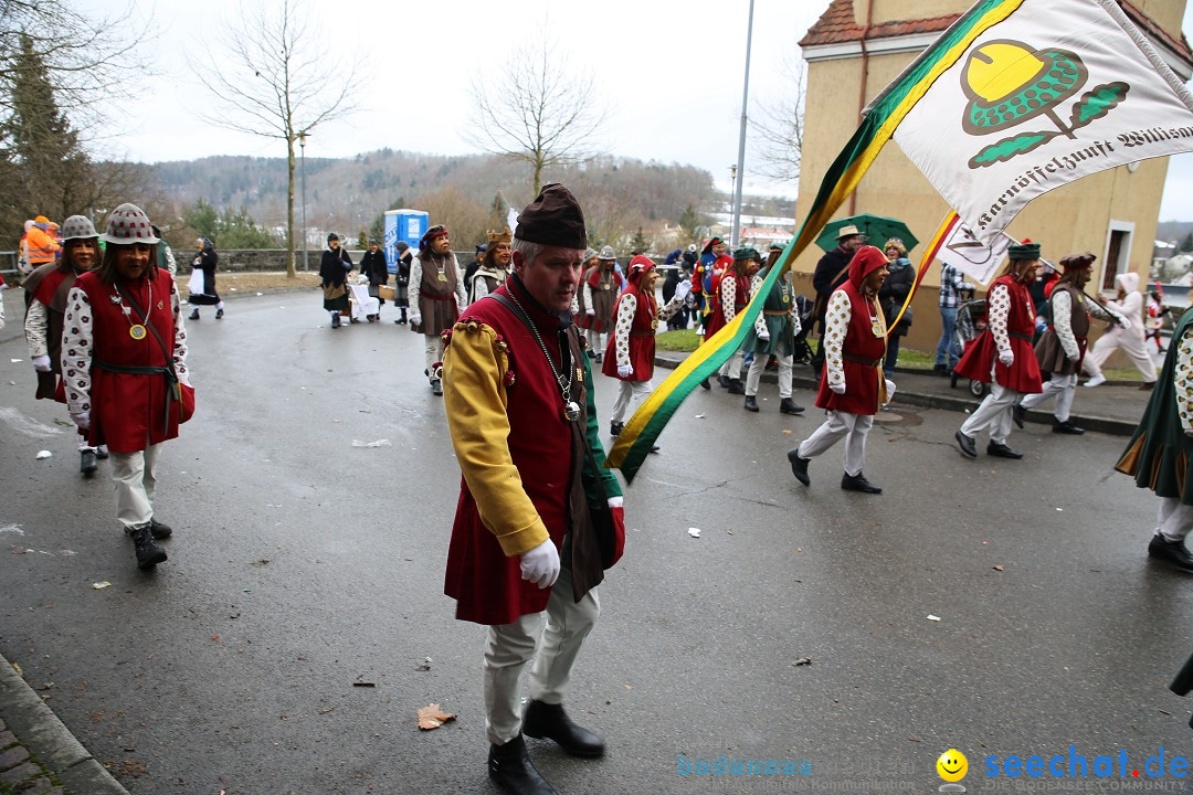Fasnet Festumzug mit Motivwagen : Stockach am Bodensee, 01.02.2015