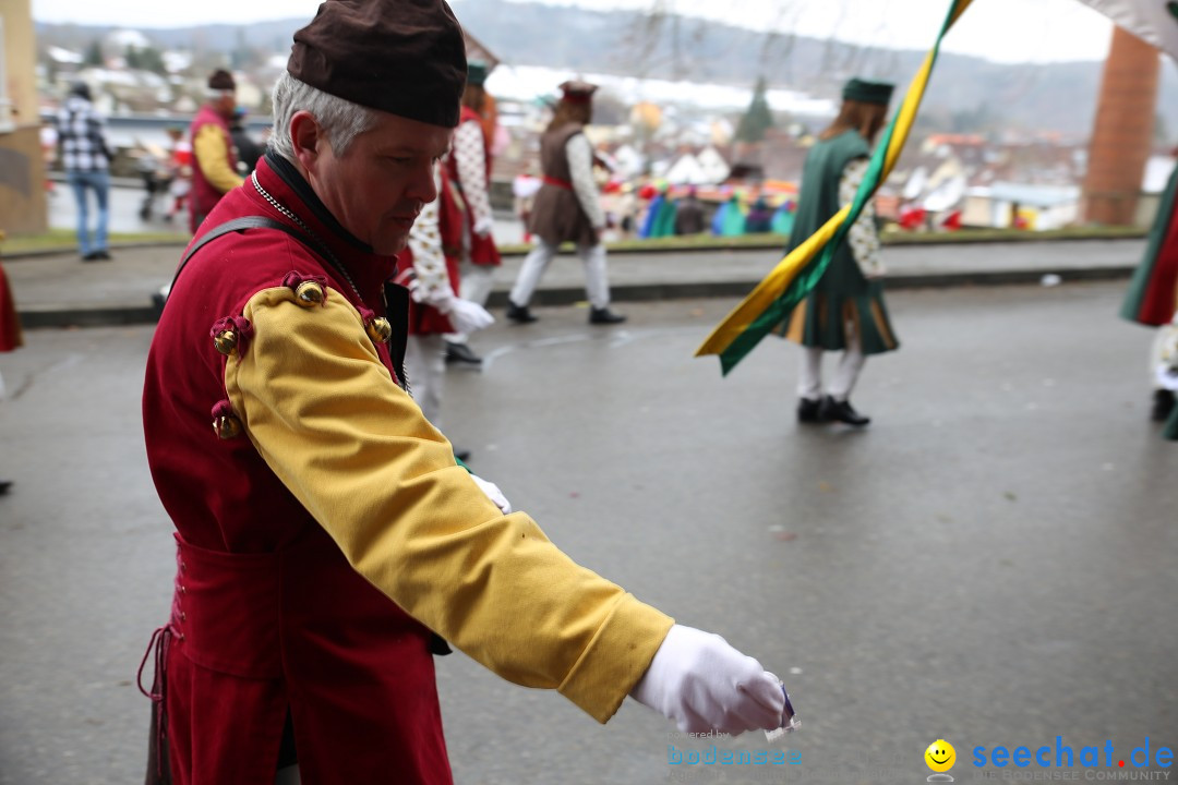 Fasnet Festumzug mit Motivwagen : Stockach am Bodensee, 01.02.2015