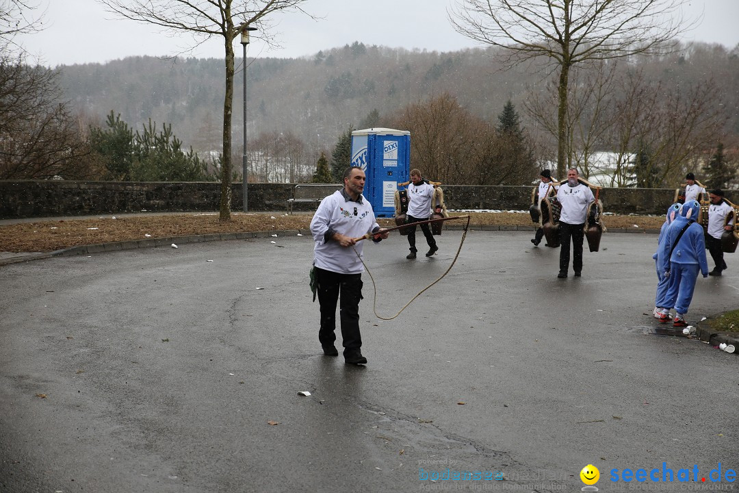 Fasnet Festumzug mit Motivwagen : Stockach am Bodensee, 01.02.2015