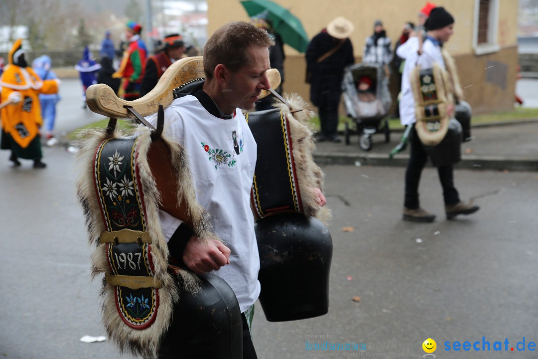 Fasnet Festumzug mit Motivwagen : Stockach am Bodensee, 01.02.2015