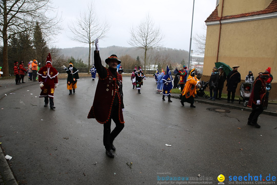 Fasnet Festumzug mit Motivwagen : Stockach am Bodensee, 01.02.2015