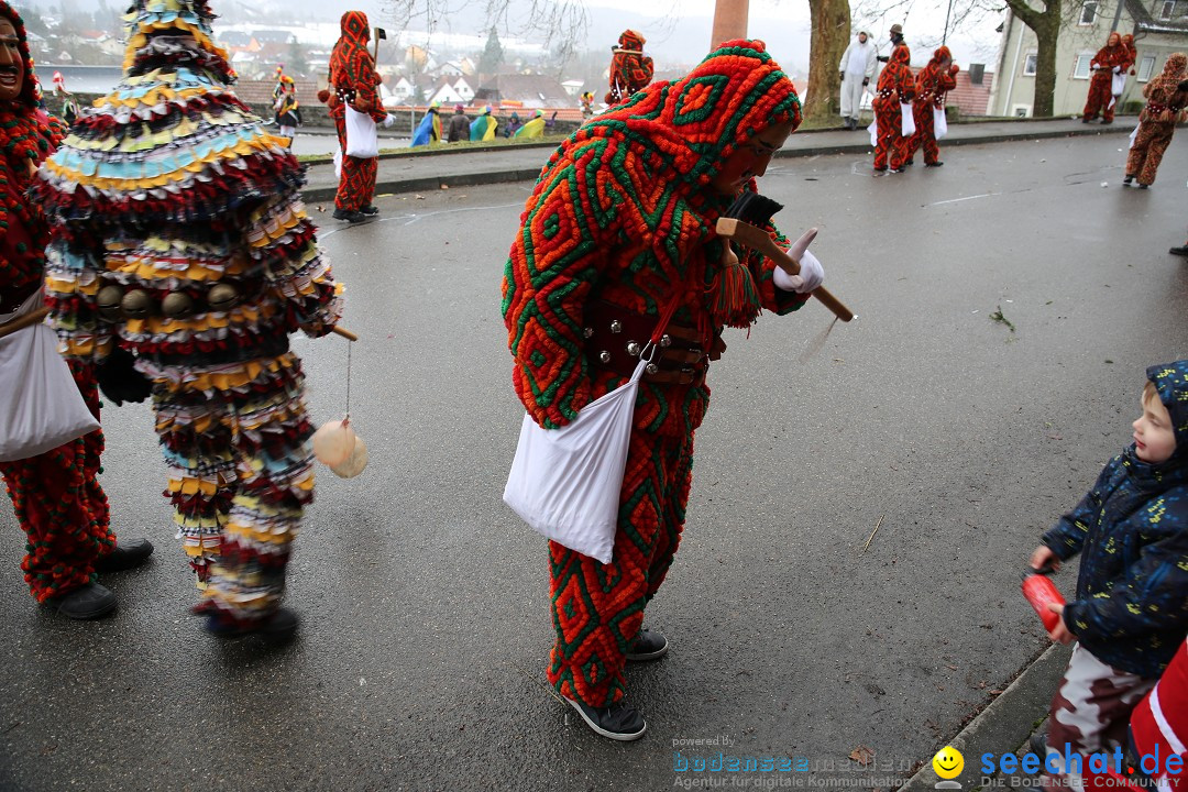Fasnet Festumzug mit Motivwagen : Stockach am Bodensee, 01.02.2015