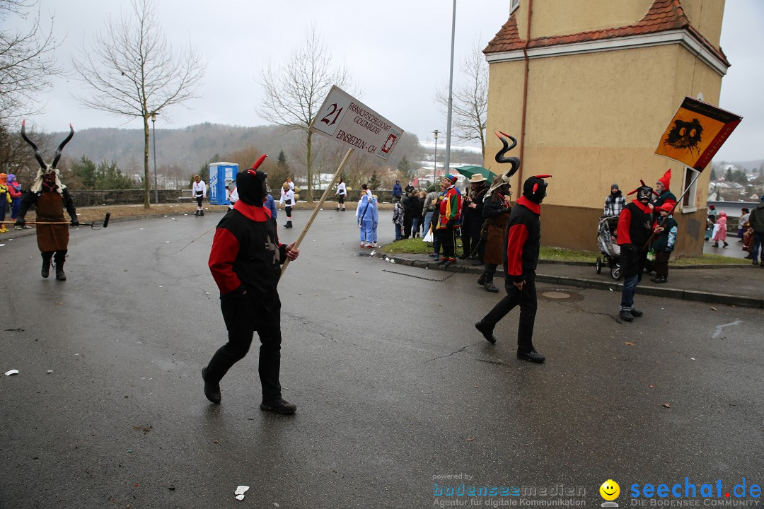 Fasnet Festumzug mit Motivwagen : Stockach am Bodensee, 01.02.2015