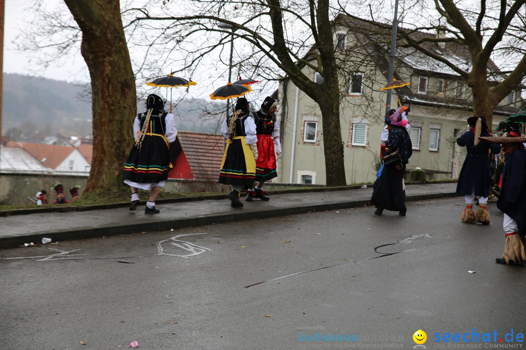 Fasnet Festumzug mit Motivwagen : Stockach am Bodensee, 01.02.2015