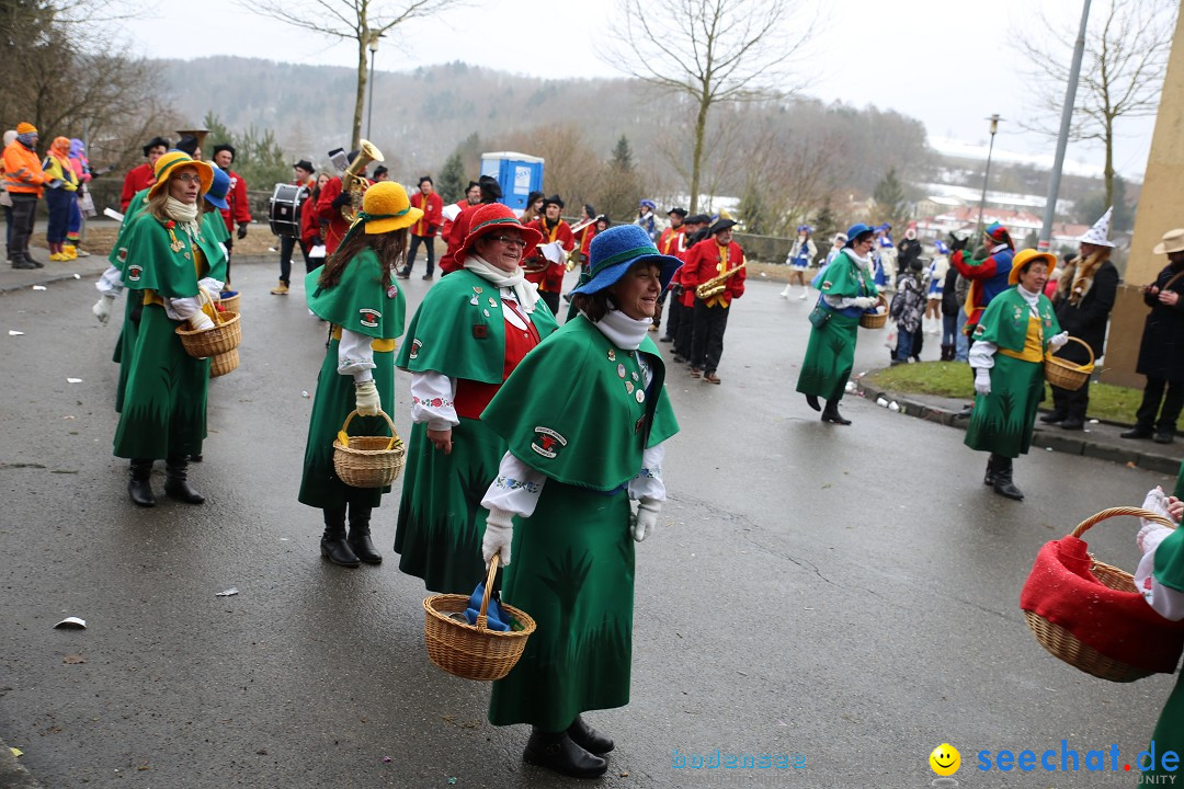 Fasnet Festumzug mit Motivwagen : Stockach am Bodensee, 01.02.2015