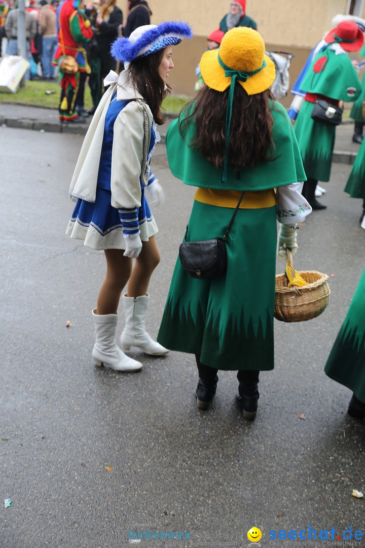 Fasnet Festumzug mit Motivwagen : Stockach am Bodensee, 01.02.2015