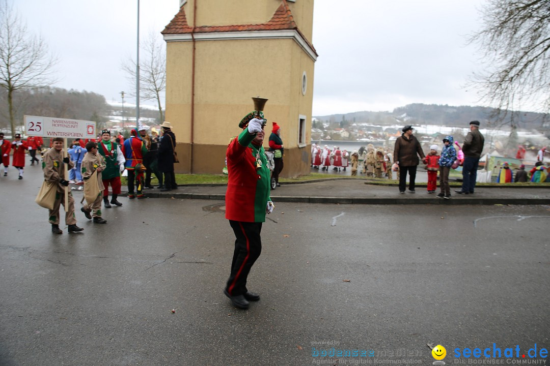 Fasnet Festumzug mit Motivwagen : Stockach am Bodensee, 01.02.2015