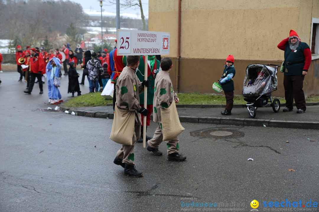 Fasnet Festumzug mit Motivwagen : Stockach am Bodensee, 01.02.2015