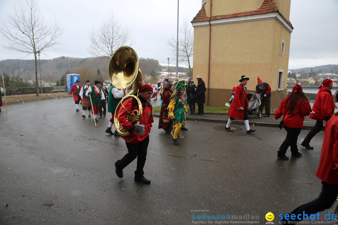 Fasnet Festumzug mit Motivwagen : Stockach am Bodensee, 01.02.2015