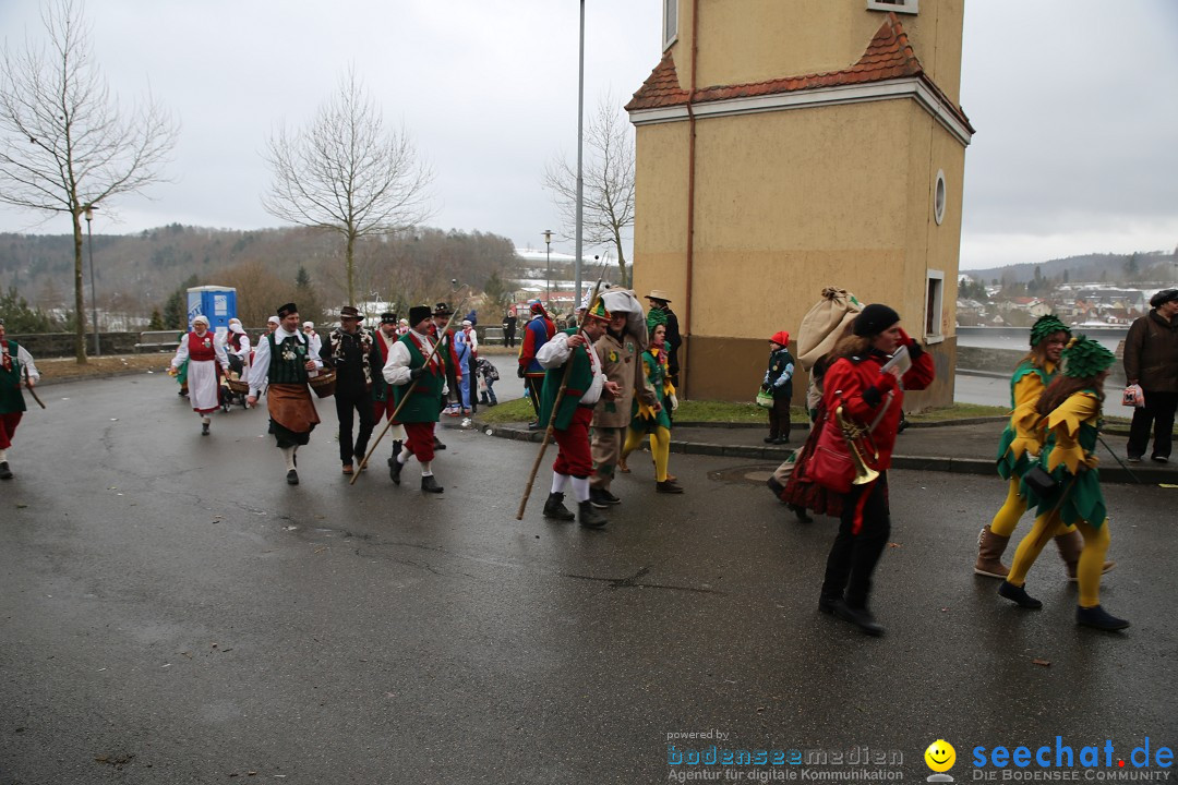 Fasnet Festumzug mit Motivwagen : Stockach am Bodensee, 01.02.2015