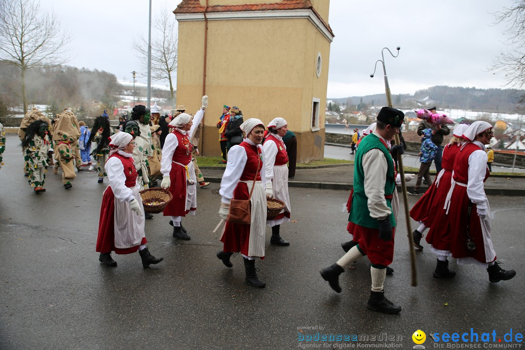 Fasnet Festumzug mit Motivwagen : Stockach am Bodensee, 01.02.2015