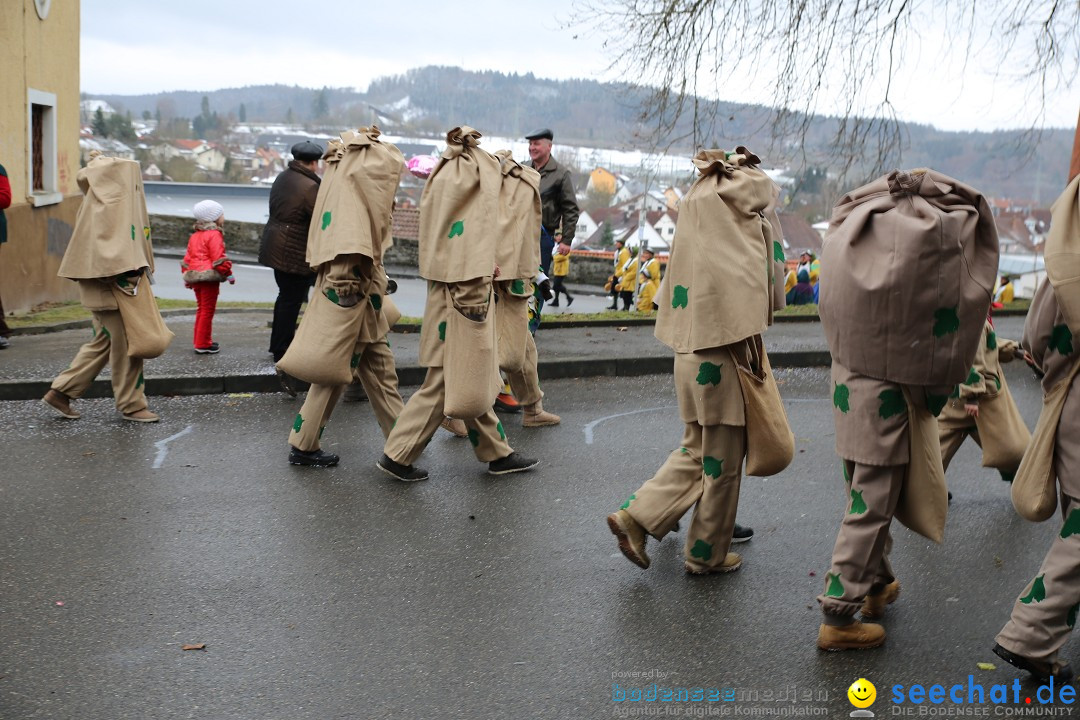 Fasnet Festumzug mit Motivwagen : Stockach am Bodensee, 01.02.2015