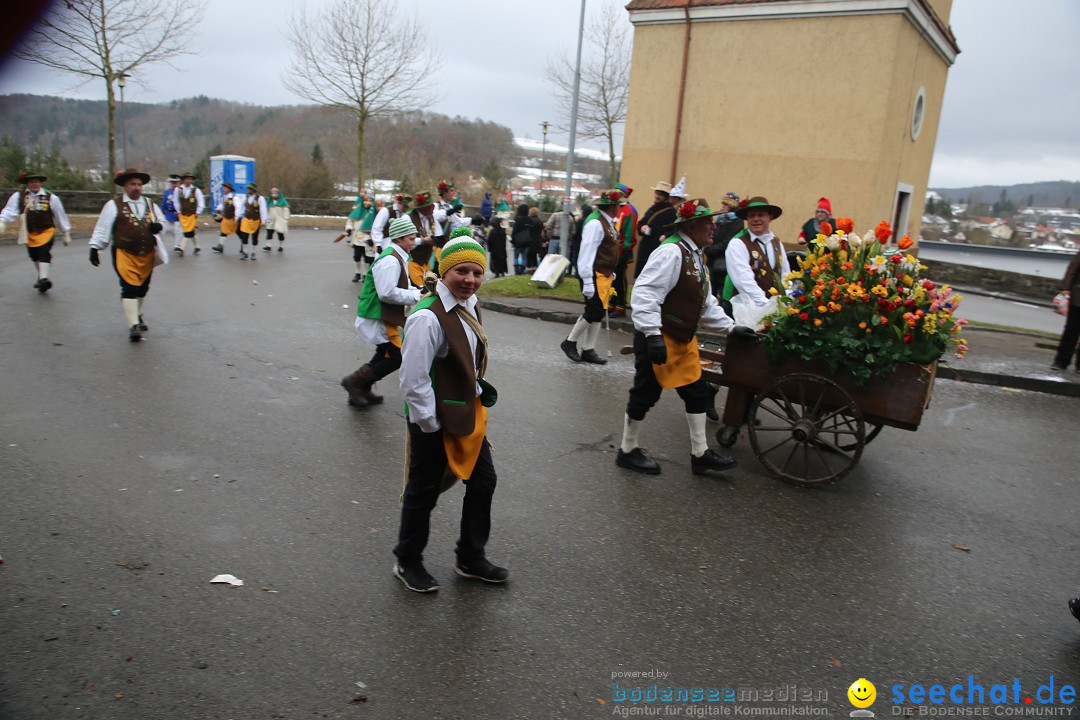 Fasnet Festumzug mit Motivwagen : Stockach am Bodensee, 01.02.2015