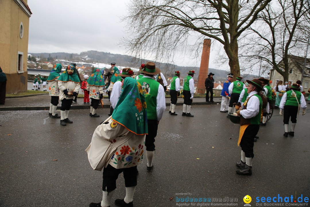 Fasnet Festumzug mit Motivwagen : Stockach am Bodensee, 01.02.2015