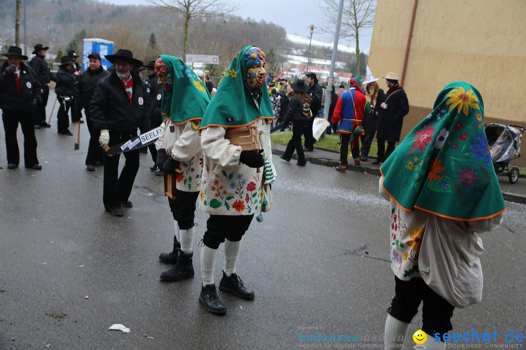 Fasnet Festumzug mit Motivwagen : Stockach am Bodensee, 01.02.2015