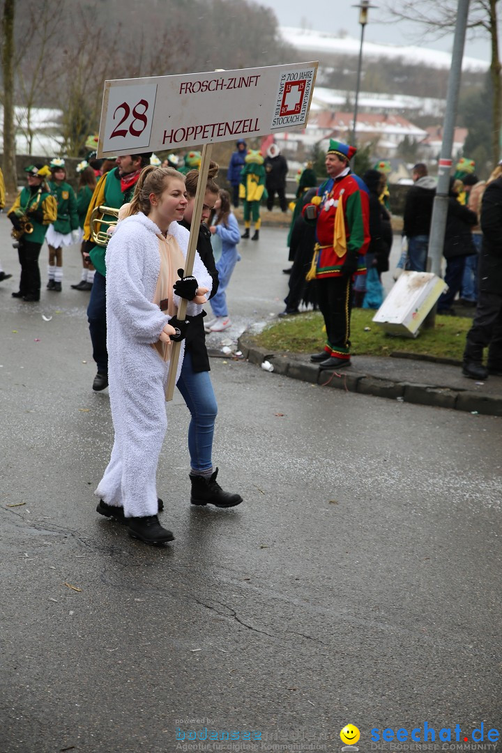 Fasnet Festumzug mit Motivwagen : Stockach am Bodensee, 01.02.2015