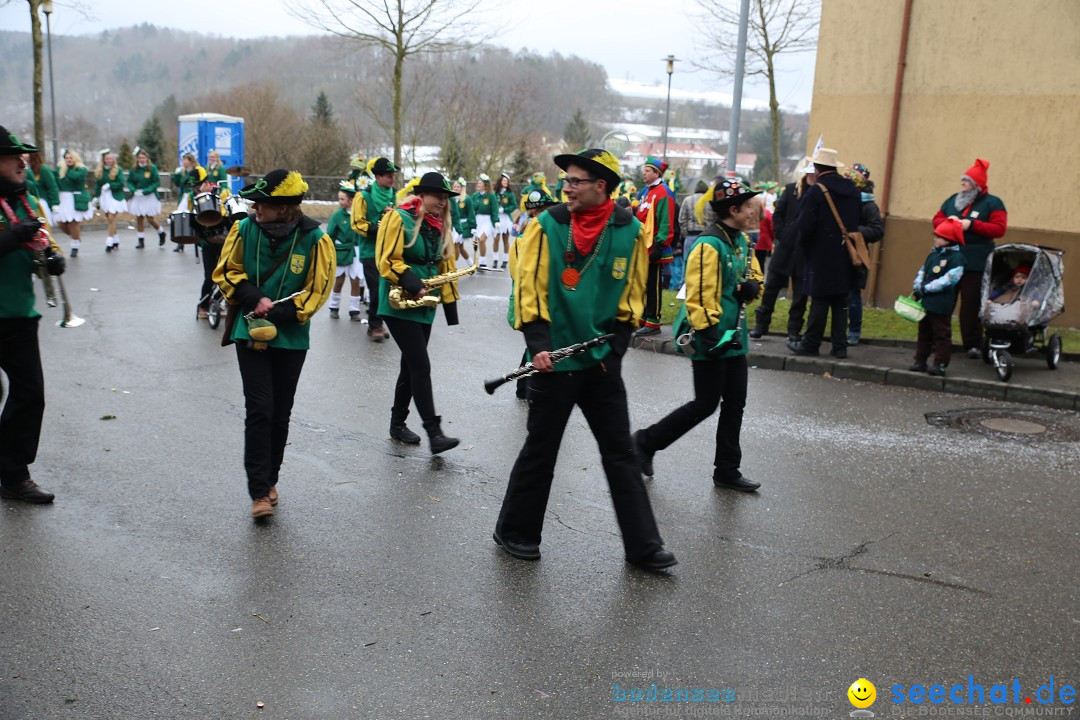 Fasnet Festumzug mit Motivwagen : Stockach am Bodensee, 01.02.2015
