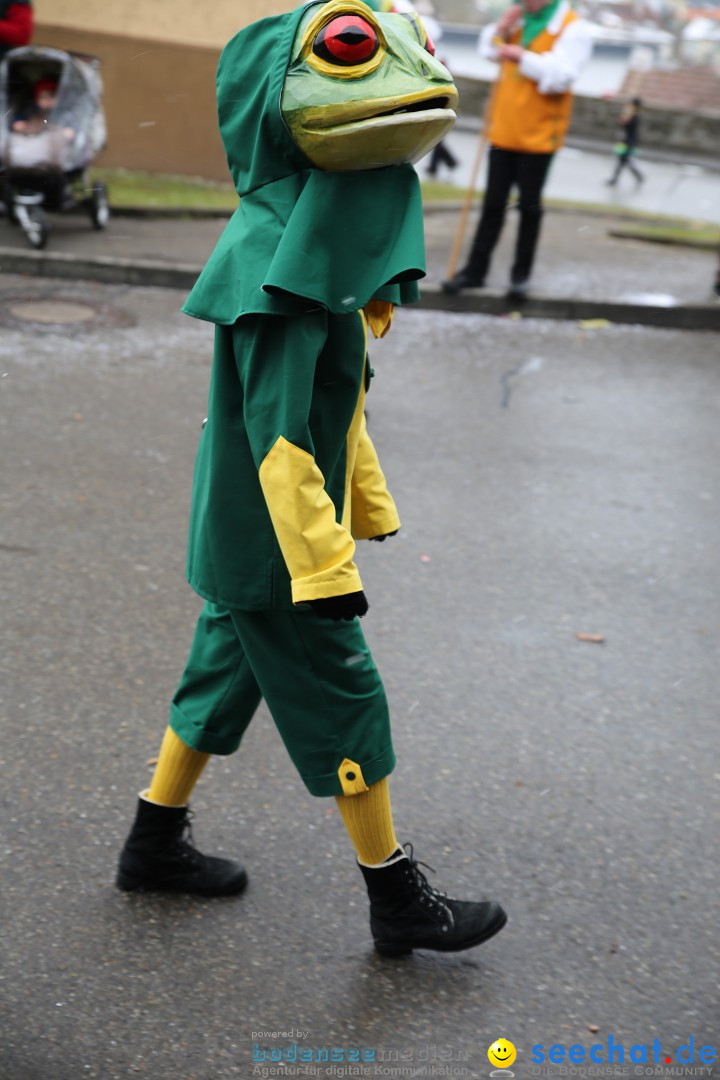 Fasnet Festumzug mit Motivwagen : Stockach am Bodensee, 01.02.2015