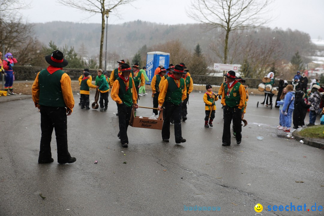 Fasnet Festumzug mit Motivwagen : Stockach am Bodensee, 01.02.2015