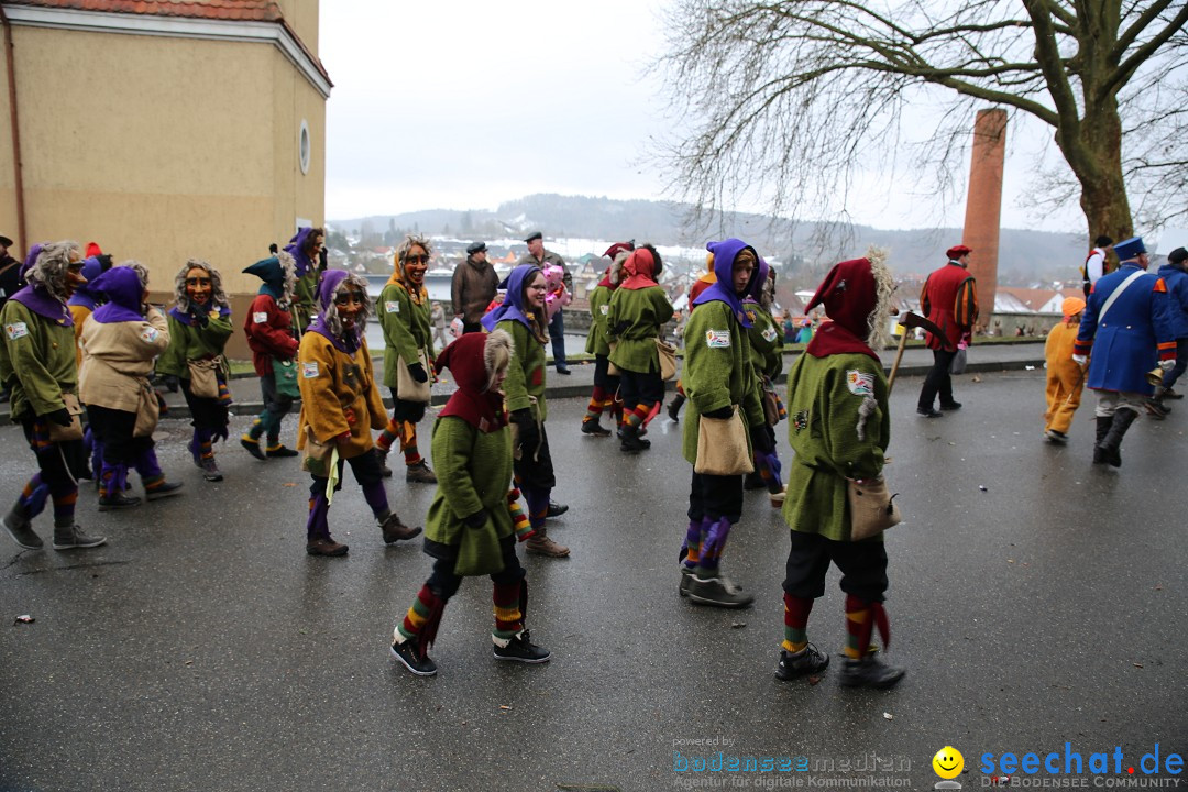 Fasnet Festumzug mit Motivwagen : Stockach am Bodensee, 01.02.2015