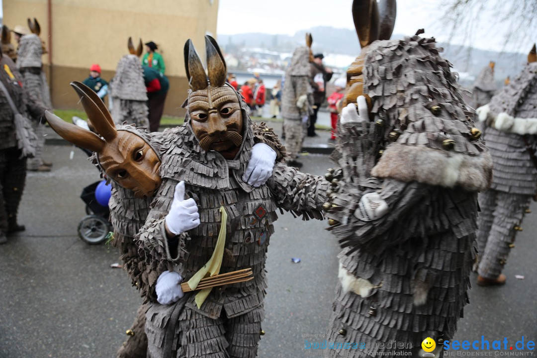 Fasnet Festumzug mit Motivwagen : Stockach am Bodensee, 01.02.2015