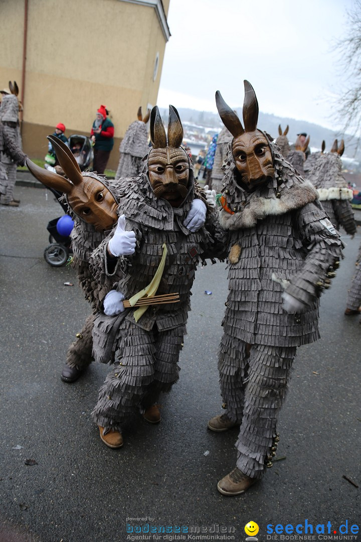 Fasnet Festumzug mit Motivwagen : Stockach am Bodensee, 01.02.2015