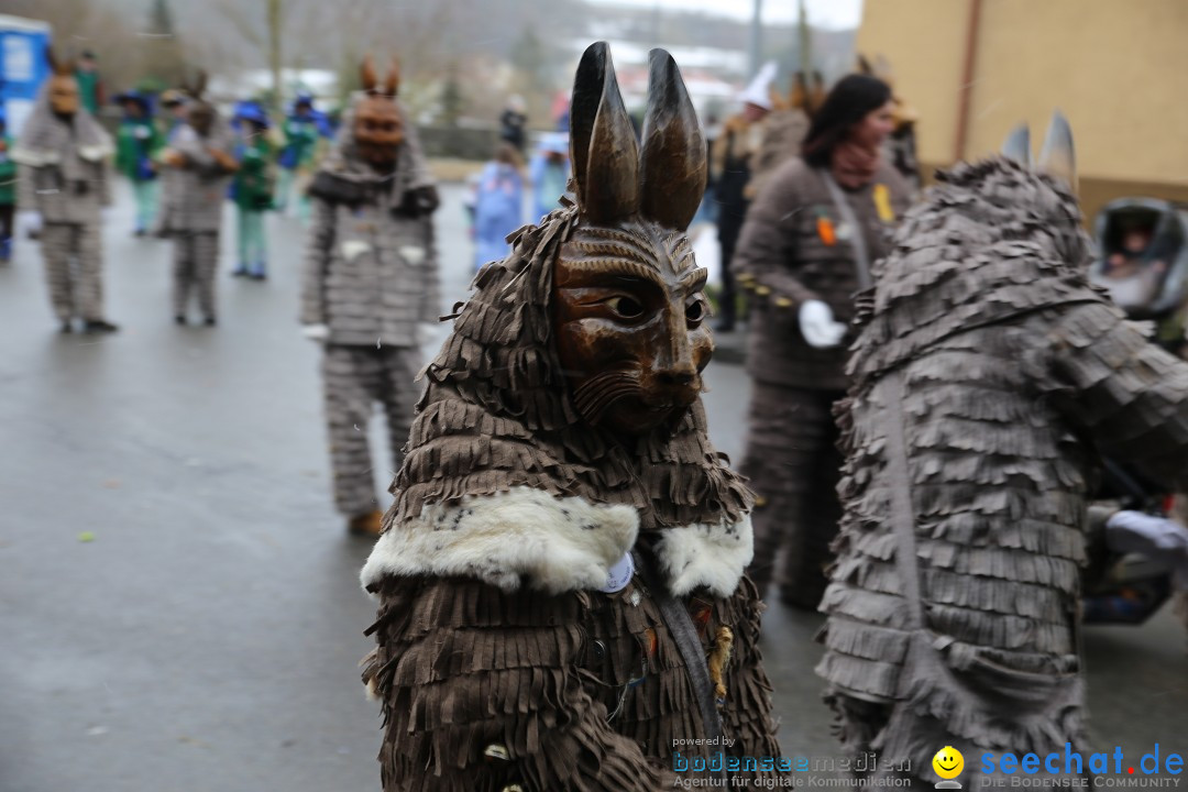 Fasnet Festumzug mit Motivwagen : Stockach am Bodensee, 01.02.2015