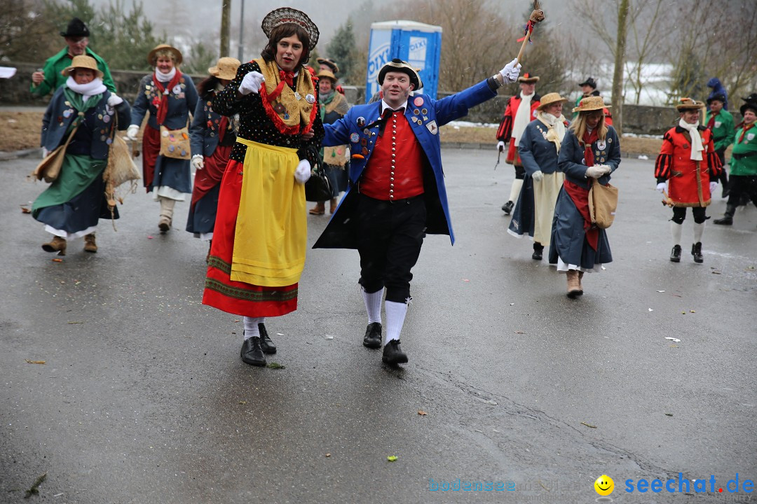 Fasnet Festumzug mit Motivwagen : Stockach am Bodensee, 01.02.2015