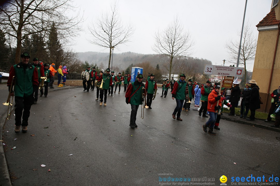 Fasnet Festumzug mit Motivwagen : Stockach am Bodensee, 01.02.2015