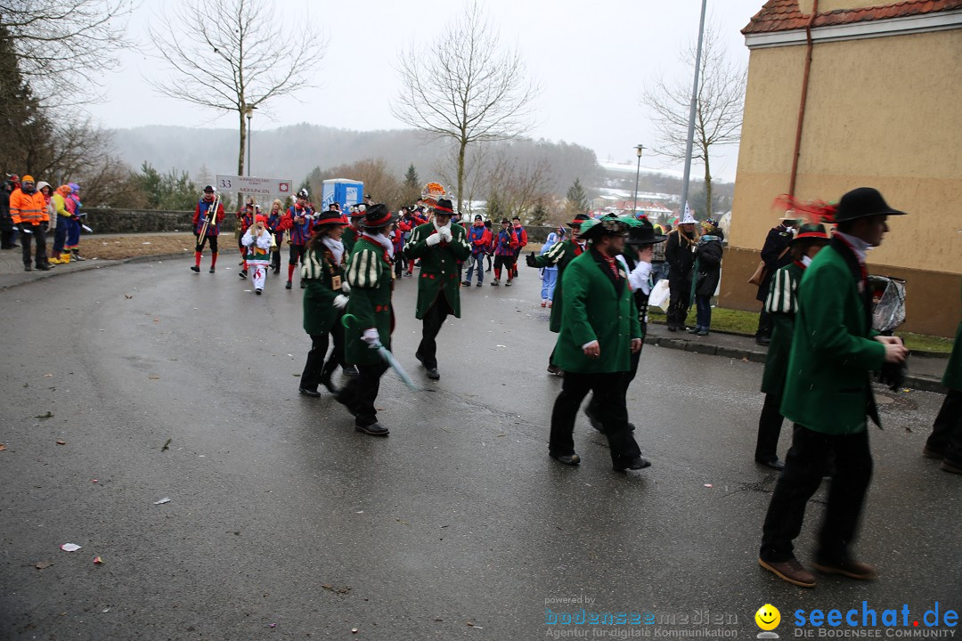 Fasnet Festumzug mit Motivwagen : Stockach am Bodensee, 01.02.2015