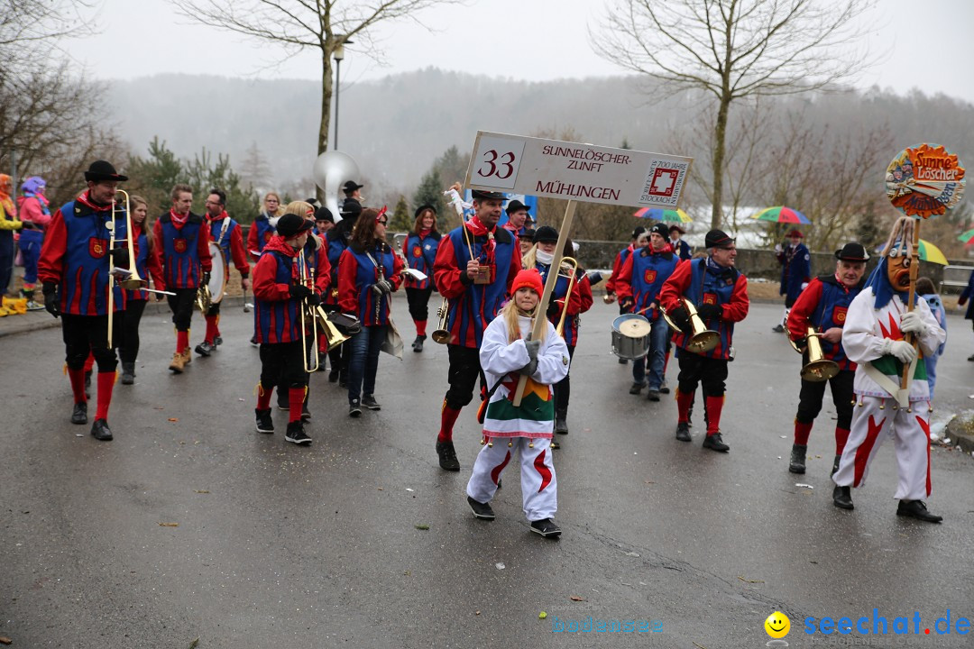 Fasnet Festumzug mit Motivwagen : Stockach am Bodensee, 01.02.2015