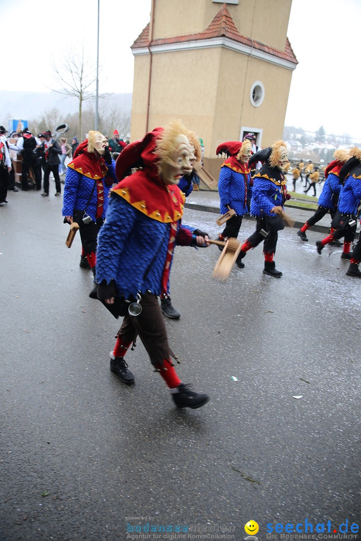 Fasnet Festumzug mit Motivwagen : Stockach am Bodensee, 01.02.2015