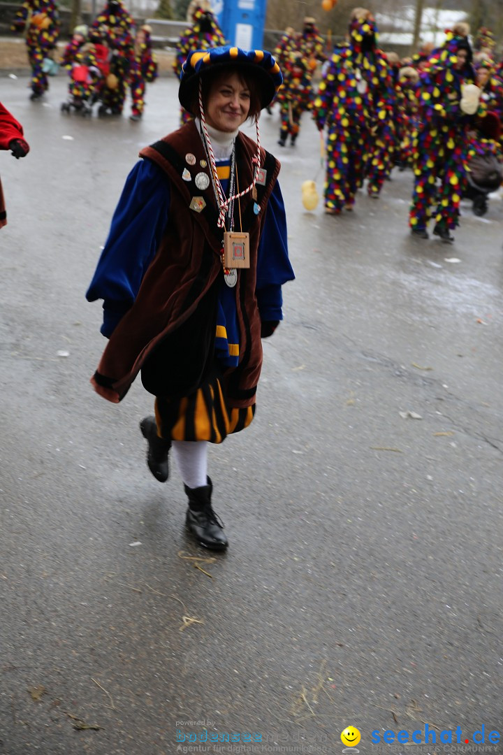 Fasnet Festumzug mit Motivwagen : Stockach am Bodensee, 01.02.2015